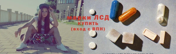 СК Алексин