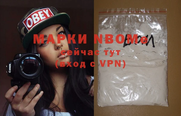 СК Алексин