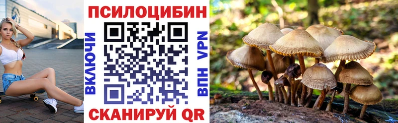 Галлюциногенные грибы GOLDEN TEACHER  Усть-Лабинск 